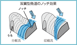 双翼型魚道 | 河川・環境製品 | 製品・工法 | 株式会社ミルコン 双翼型魚道 | 河川・環境製品 | 製品・工法 | 株式会社ミルコン
